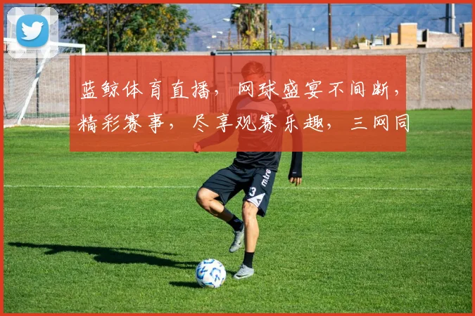 蓝鲸体育直播，网球盛宴不间断，精彩赛事，尽享观赛乐趣，三网同步，不容错过，