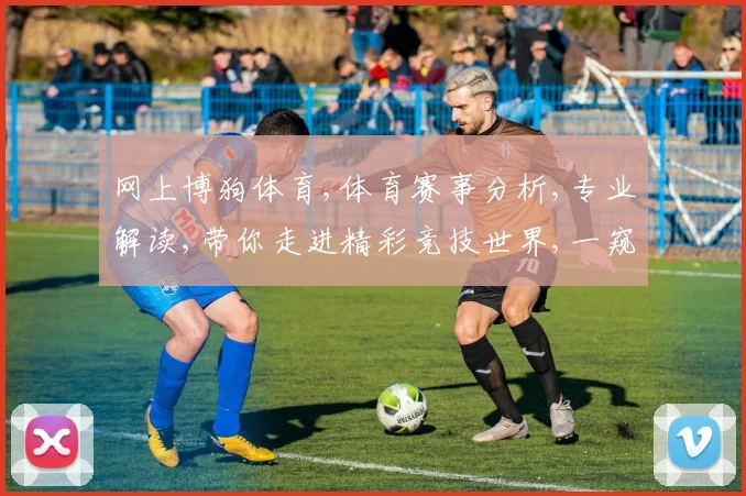 网上博狗体育,体育赛事分析,专业解读,带你走进精彩竞技世界,一窥门道。