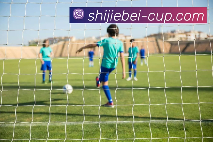 多彩内容专区